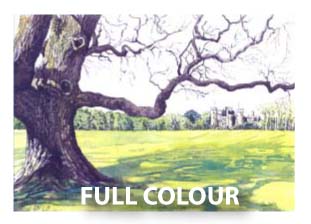 una healy commissioned paintings