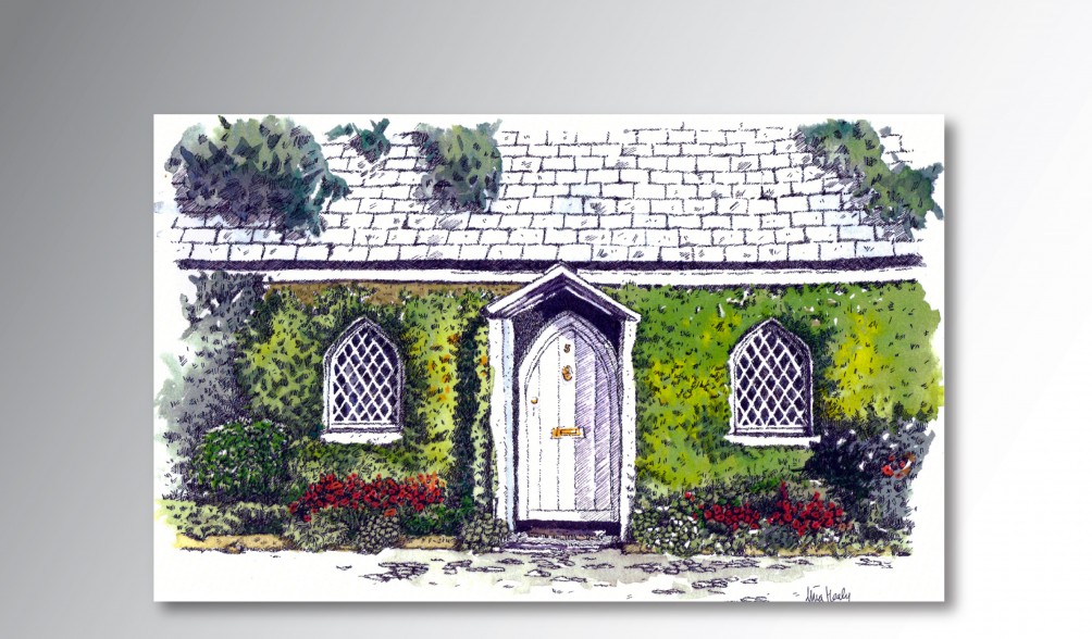 Colour Illustration