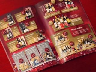 McHughs Online Brochure Design Dublin