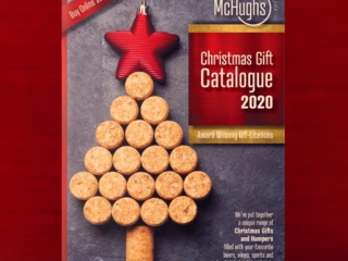 McHughs Online Brochure Design Dublin