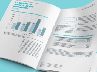 Report_Brochure_Design_Ireland