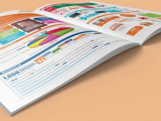 Infographic Brochure Design Dublin South Dublin County Council